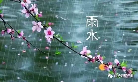  战术板上妙笔生花，暂停布置扭转乾坤